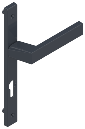 POIGNÉE DE PORTE ET PORTE-FENÊTRE