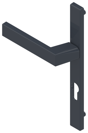 POIGNÉE DE PORTE ET PORTE-FENÊTRE