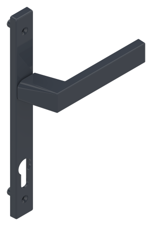 POIGNÉE DE PORTE ET PORTE-FENÊTRE